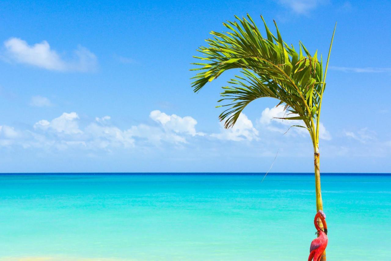 Kaz Kreol Beach Hotel オーチョ・リオス エクステリア 写真